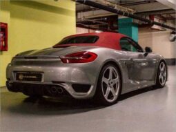 RUF 3800S full